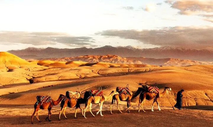 Sunset Dinner in Marrakech Desert with Quad bike 