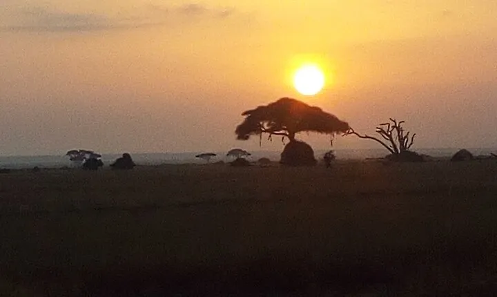 Mount Kenya National Park Private Tour Experience
