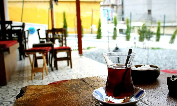 From Kos: Independent Day Trip to Bodrum