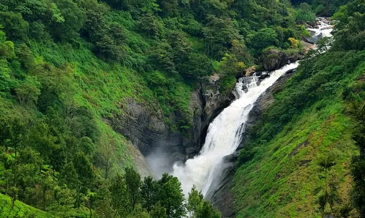 Explore Munnar in 2 Days from Madurai – Complete Tour Package