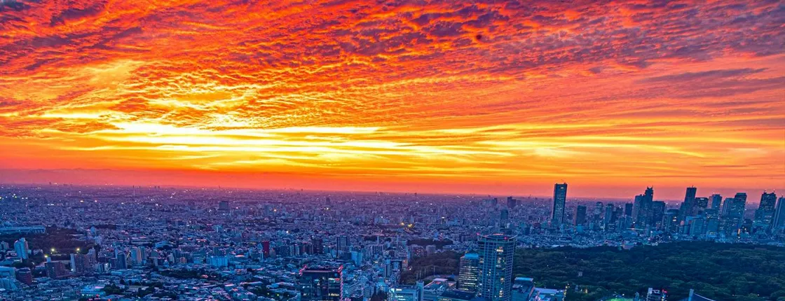 Shibuya Sky Observatory Entrance Ticket