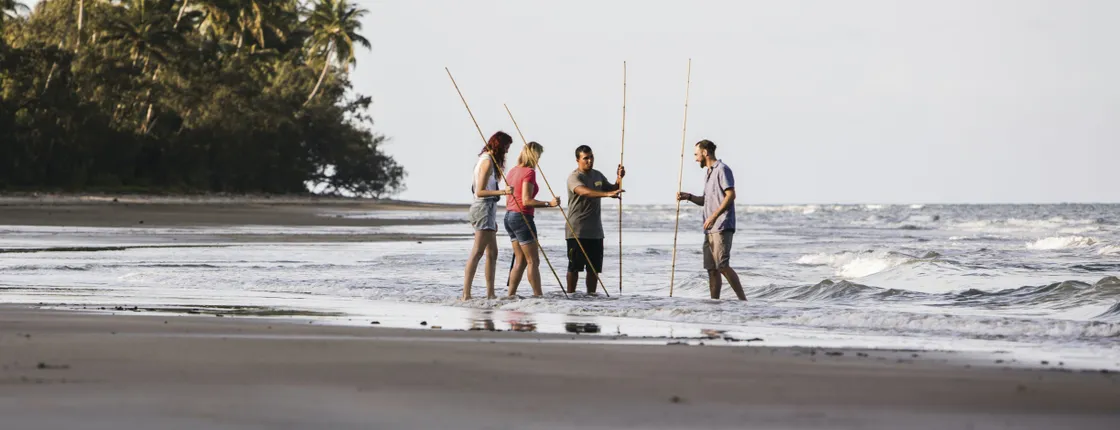 Private full day tour around Daintree and Mossman