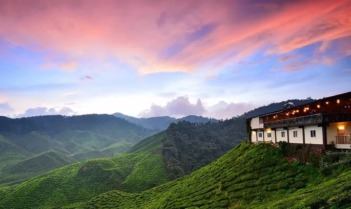 Cameron Highlands Full-Day Tour