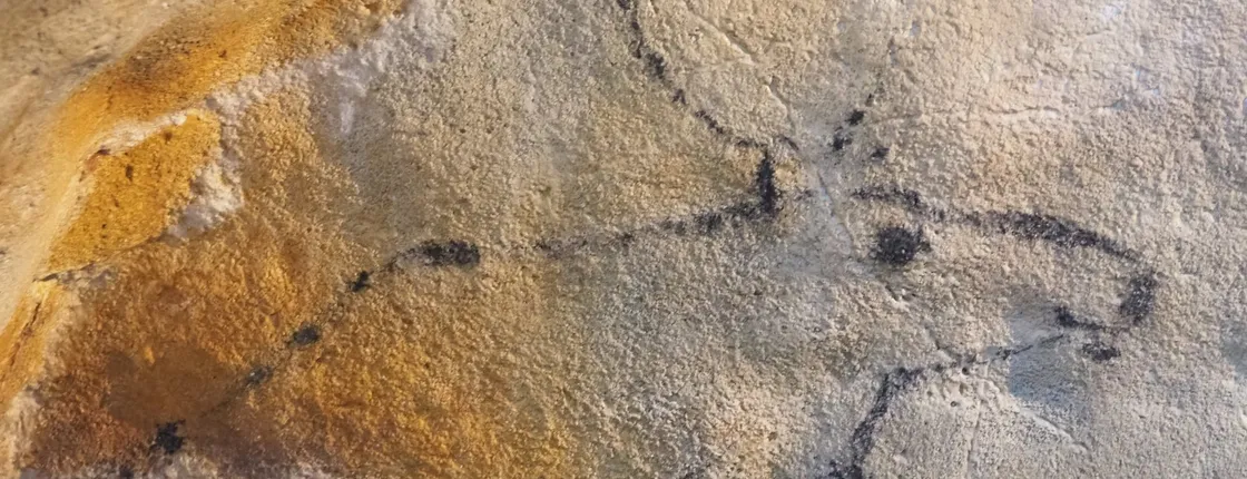 El Castillo caves and Paleolithic art day trip from Santander