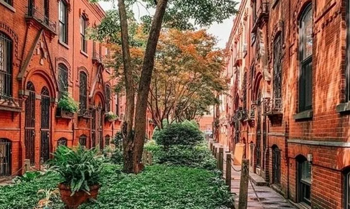 New York City Soho, Little Italy, Chinatown Private Walking Tour