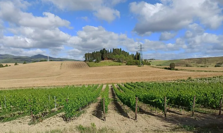 "Ramble Through The Rolling Hills Of Chianti" with lunch and 2 wine tastings