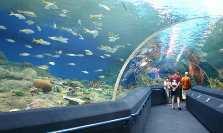 Underwater World Pattaya Skip-the-Line Ticket