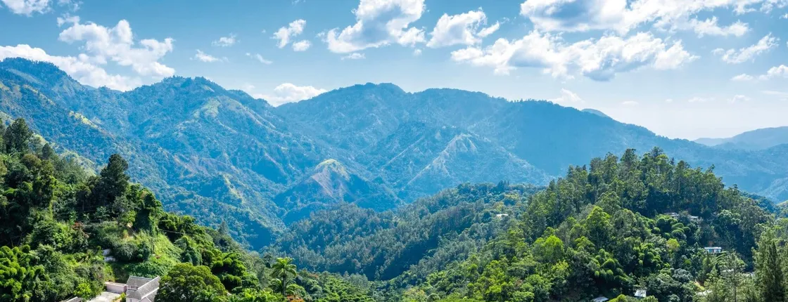 Kingston and Blue Mountains tour with Bob Marley Museum