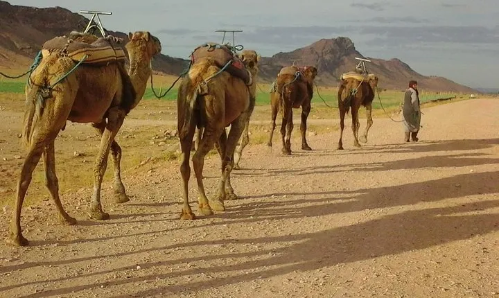 2 days 1 night zagoura dunes from marrakech