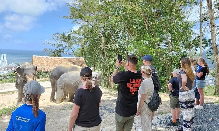 Elephant Sanctuary Small Group Tour in Phuket