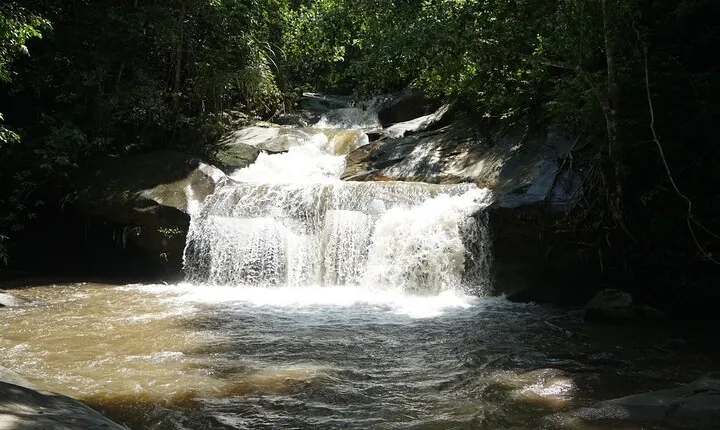 Chiang Mai Trekking Tour :Full day (no rafting)