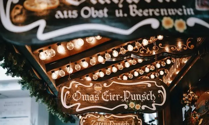 Christmas Private Daytrip - Vienna to Budapest & back, English Speaking Driver