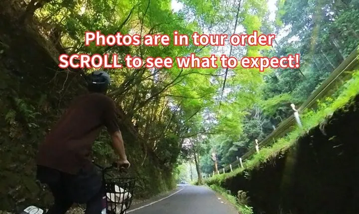 4 hours of E-Bike tour With a Japanese in Arashiyama & bamboo
