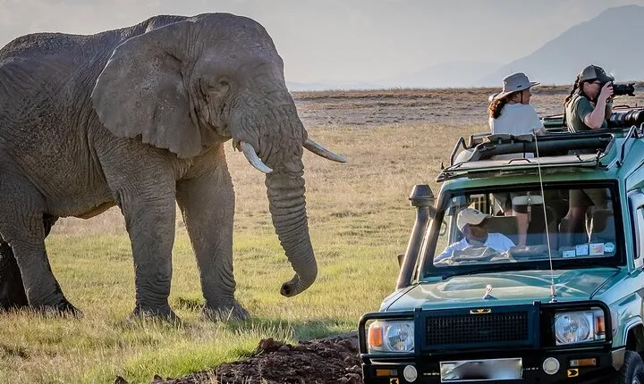 Amboseli National Park and Kilimanjaro Day Tour