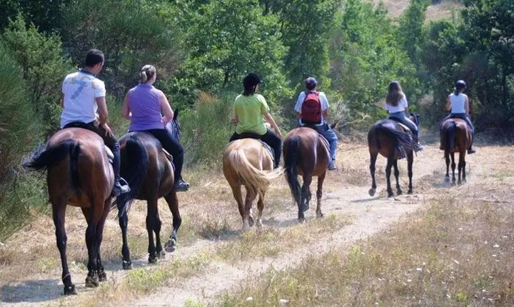 Tuscan Hills Horseback Riding Tour from Siena