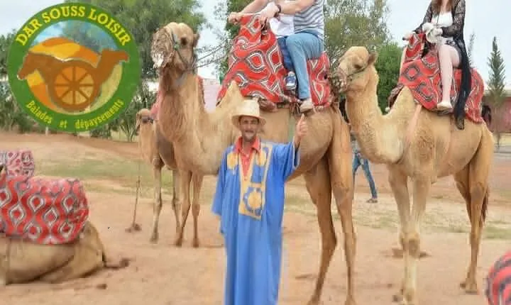 Agadir Camel Ride Experience
