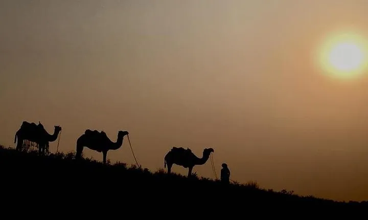 Incredible Rajasthan with Pushkar Fair