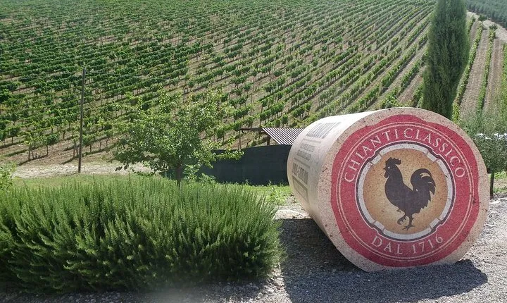Essence of Chianti Small Group Tour with Lunch and Tastings from Florence