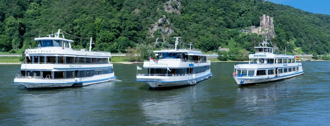 Ticket for Rhine castle cruise from Rüdesheim