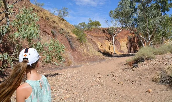 West MacDonnell Ranges Small-Group Full-Day Guided Tour