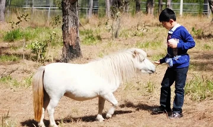 Excursion Da Lat Zoo Doo Tour