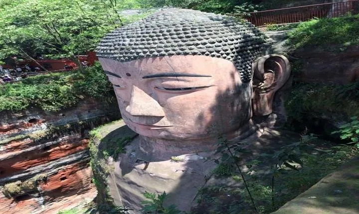 One Day Trip to Chengdu Panda Base and Leshan Buddha Tour