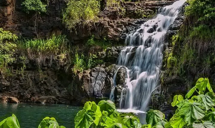Circle Island Tour with Waimea Waterfall