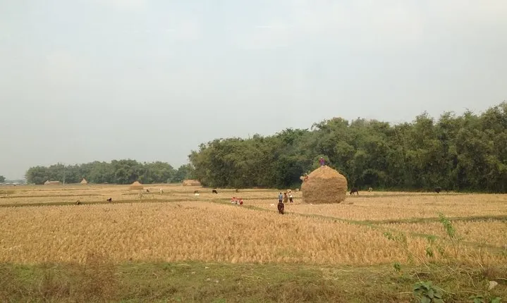 5-Day Private Farming Experience in Nayapul with Accommodation
