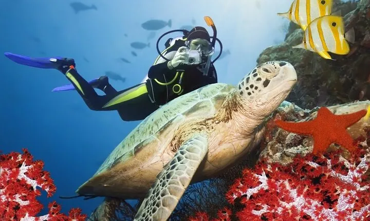 Scuba Diving Experience in Kusadasi with Instructor and Transfer