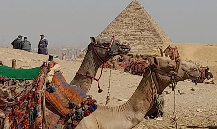 Giza Pyramids and Grand Egyptian Museum full day tour.