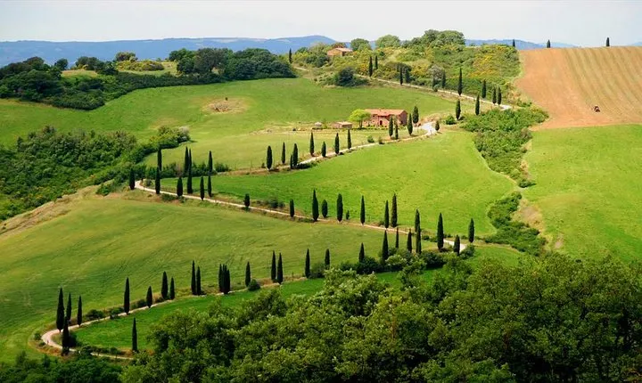 Private Siena and San Gimignano Tour with Wine Tasting From Rome
