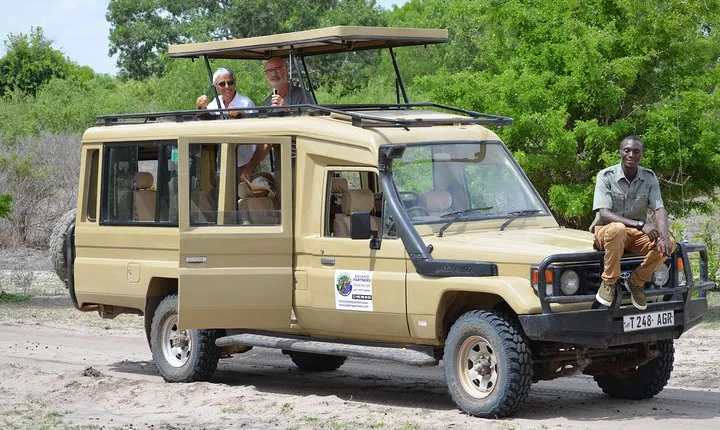Mikumi National Park From Zanzibar Road Trip 3 Days 2 Nights