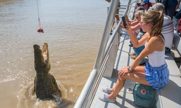 Crocodile Jumping Boat Cruise with Transfer from Darwin