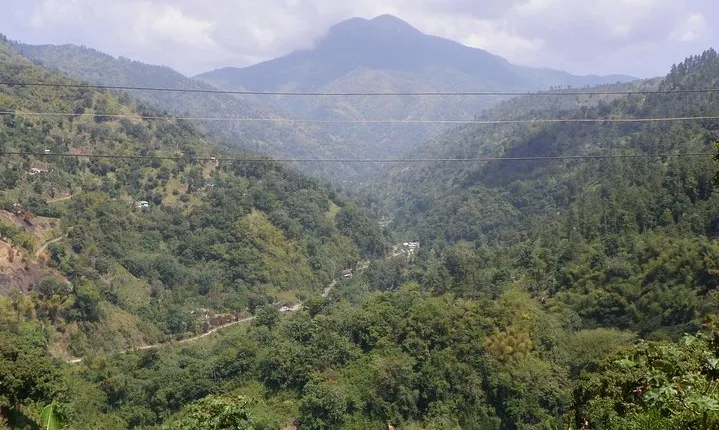 Blue Mountain Tour with Hotel Transportation