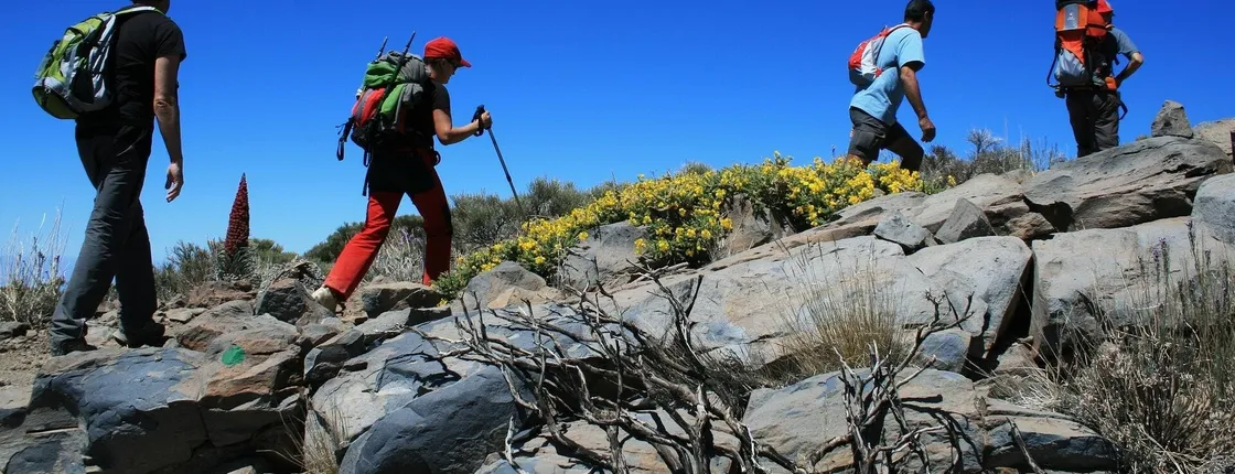 Mount Teide Easy Hiking Tour