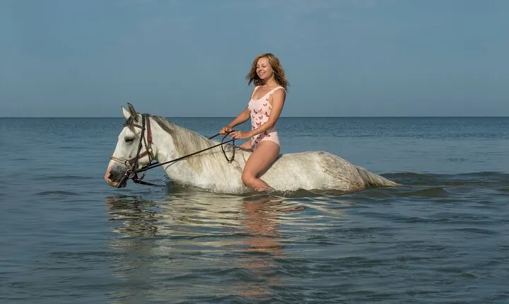 1-Hour Horseback Ride by the Sea in Sharm with Transfers 