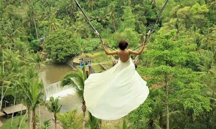 Ubud: Monkey Forest, Jungle Swing, Rice Terrace, and Water Temple