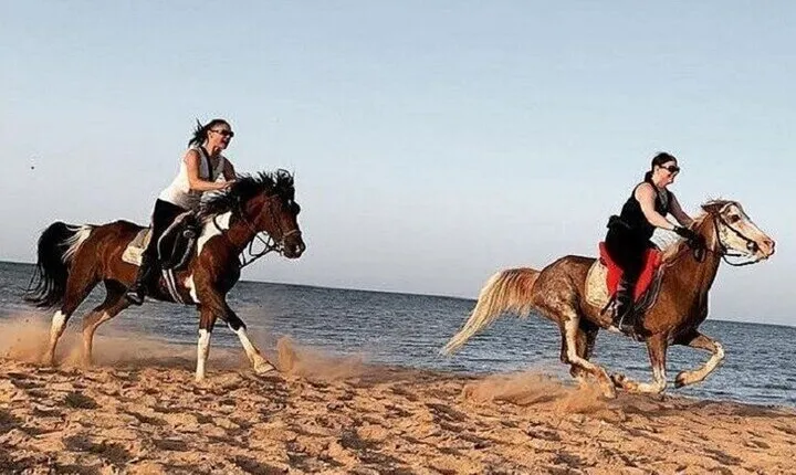 Swimming by Horse at Red Sea Beach & Desert with Dinner- Hurghada