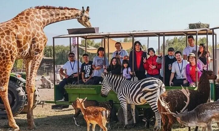 Safari Park Full Day Experience 