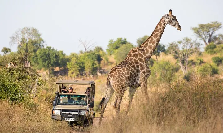 Game Drive And Rhino Walk