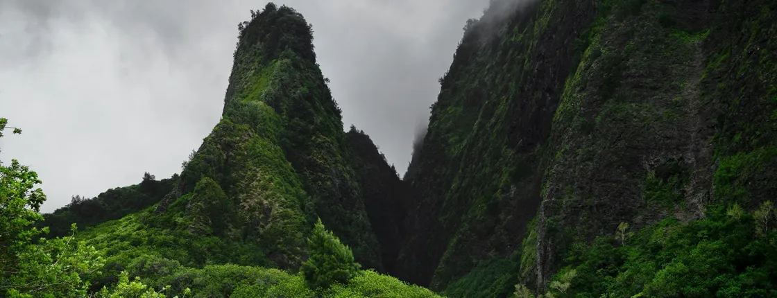 Iao Valley & Upcountry Farm full-day private tour