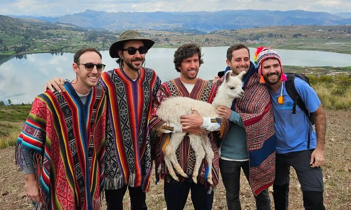 Walk with Alpacas and Llamas in Chinchero