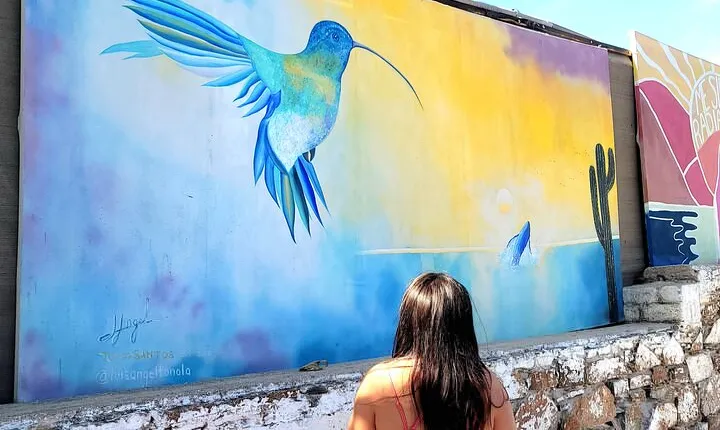 Art and Culture in Todos Santos