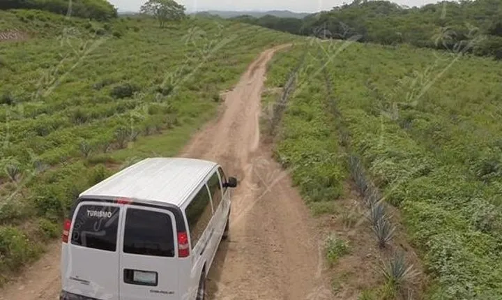 Private Tour to El Quelite Village and Tequila Distillery from Mazatlan