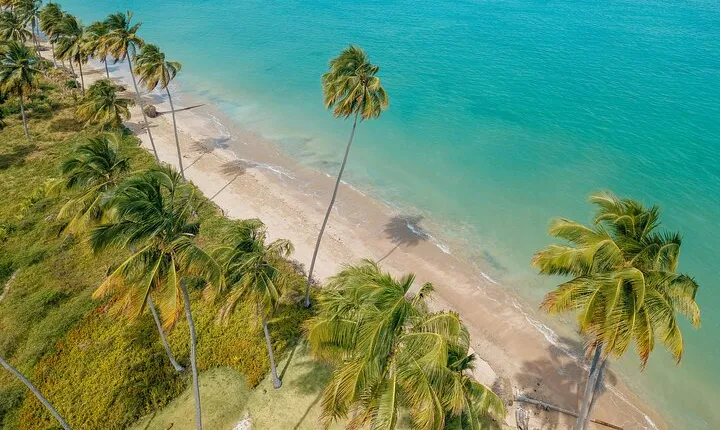 Patacho Beach Tour from Maceió
