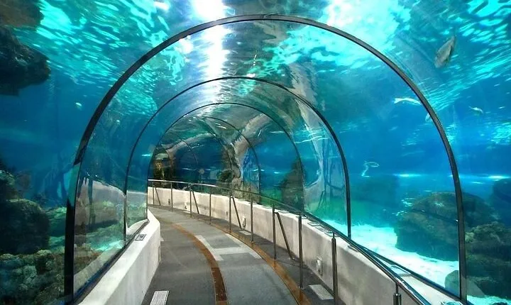 Beneath the Blue Grand Aquarium Tour with Transfer in Hurghada