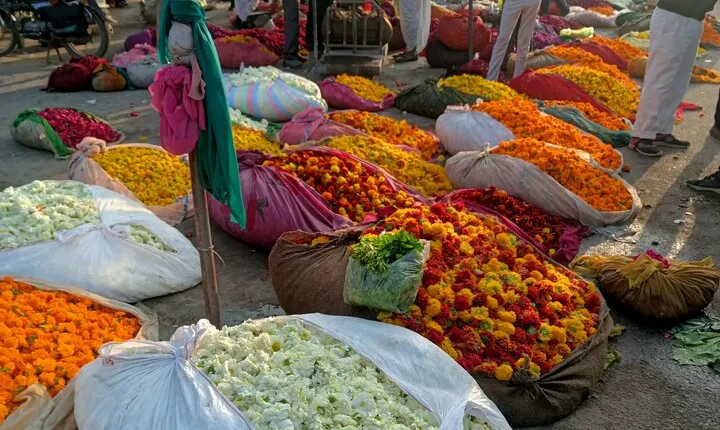 Jaipur Walking Tour 