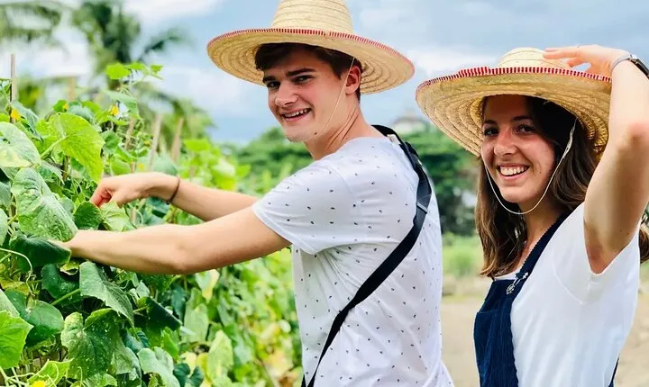 Baan Farm thai cooking Afternoon Class (Vegetarian Applicable)