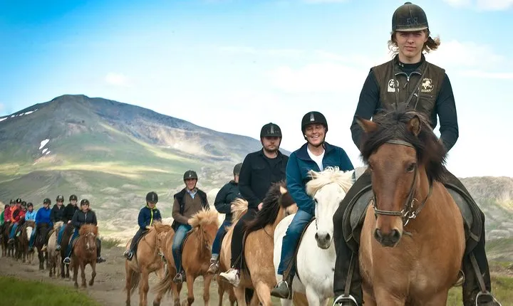 Icelandic Horseback Riding Tour Including Pick Up from Reykjavik