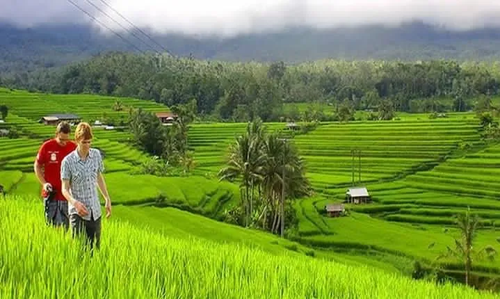 DISCOVER The Beauty of Bali with Private Car Tours